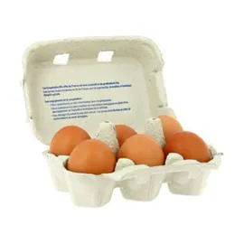 FERME BIO IDF Oeufs D Île De France Bio x6