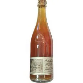 FERME DES RUELLES Petillant pomme 72cl