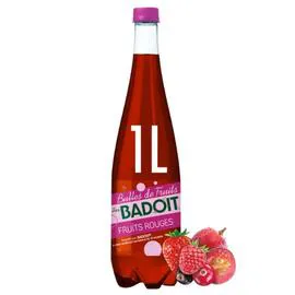 BADOIT Eau Gazeuse Aromatisée Fruits Rouges 1l