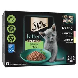 SHEBA Pâté pour chaton au saumon et poulet 12x85g