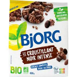 BJORG Céréales croustillant chocolat intense Bio 450g