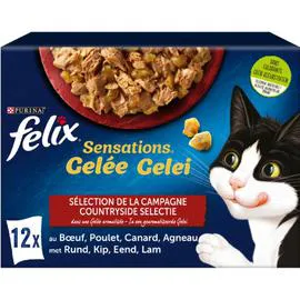 PURINA, FELIX Pâtée pour chat adulte en gelée 12x85g
