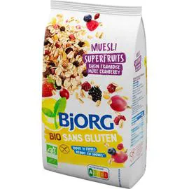 BJORG Muesli Superfruits Sans Gluten Bio 375g