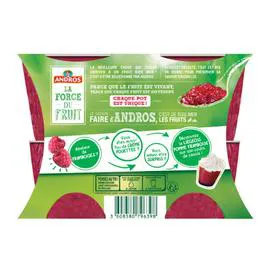 ANDROS Dessert fruitier framboise morceaux 4x100g