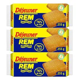 LU Biscuits petit déjeuner Recette Originale REM 3x255g