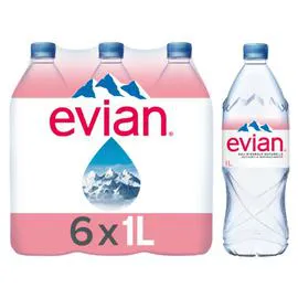 EVIAN Eau minérale naturelle 6x1l