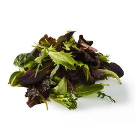 NATOORA Mesclun Jeunes Pousses 100g