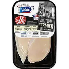 VOLAÉ Filets de poulet blanc fermier Normand 2x175g