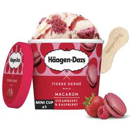 HÄAGEN-DAZS Pierre Hermé mini pot macaron strawberry raspberry 24x95ml