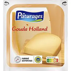 PÂTURAGES Gouda Holland IGP 250g