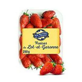 NOS RÉGIONS ONT DU TALENT Fraise Gariguette Lot & Garonne 250g