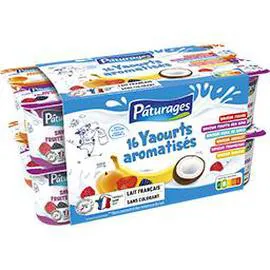 PÂTURAGES Yaourts aromatisés 16x125g