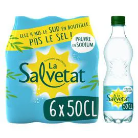 SALVETAT Eau gazeuse minérale naturelle 6x50cl