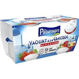 PÂTURAGES Yaourt à la grecque sur lit à la fraise 600g