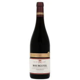 LA CAVE D'AUGUSTIN FLORENT Vin rouge Bourgueil 75cl