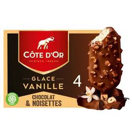 CÔTE D'OR Glace vanille lait noisette 260g