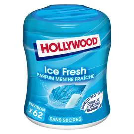 HOLLYWOOD Chewing-gum à la menthe fraîche sans sucres Ice Fresh - x62 87g