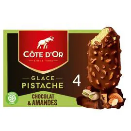 CÔTE D'OR Glace pistache chocolat amande 260g