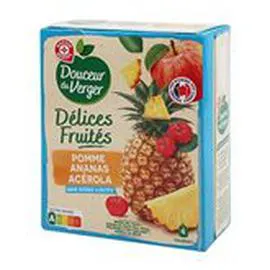 MARQUE REPÈRE, DOUCEUR DU VERGER Gourde Pommes Ananas 4x120g