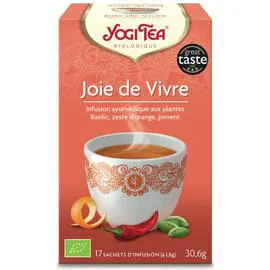 YOGI TEA Joie De Vivre - 17 Infusions Bio 30,6g