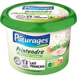 PÂTURAGES Printendre - Fromage ail et fines herbes 250g