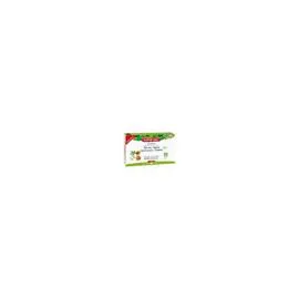 SUPER DIET Quatuor Guarana Brule-graisse Bio 20 Amp l'unité