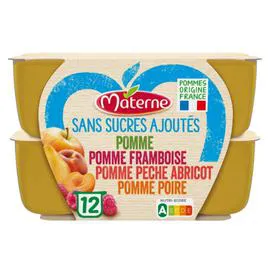 MATERNE Compote panaché 4 parfums Sans Sucre Ajouté 12x100g