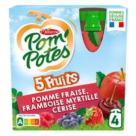MATERNE, POM'POTES Compote 5 fruits s/sucres ajoutés 4x90g