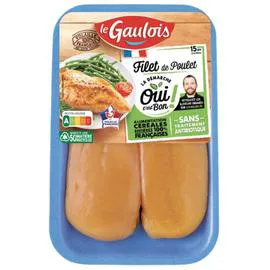 LE GAULOIS Filets de poulet jaune 2x150g