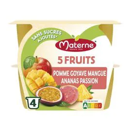 MATERNE Compote 5 fruits exotiques 4x100g
