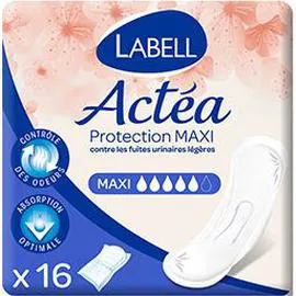 LABELL Protection fuites urinaires Maxi Actéa x16