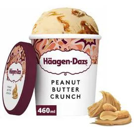 HÄAGEN-DAZS Crème glacée Beurre de cacahuètes 400g