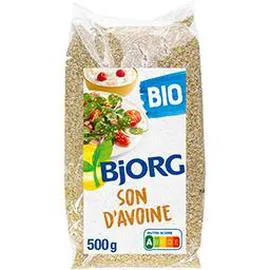 BJORG Son d'avoine Bio 500g
