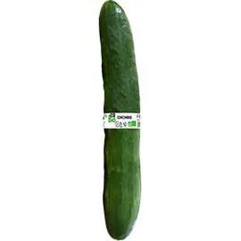 MON MARCHÉ PLAISIR BIO Concombre BIO l'unité