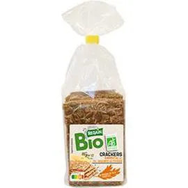 REGAIN BIO Crackers emmental et graines de courge BIO 200g