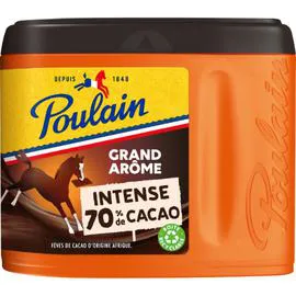 POULAIN Cacao en poudre grand arome 380g