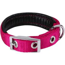 ANIMALIS Collier Basic Confort pour Chien 40mm - 70cm, Fuschia 190g