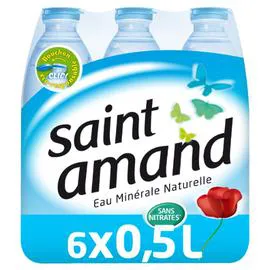 SAINT AMAND Eau minérale naturelle 6x50cl