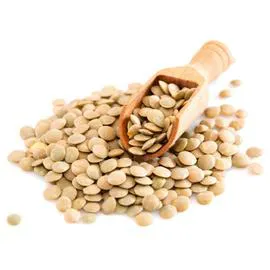 MONOPRIX Lentilles Blondes 500g