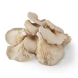 NATOORA Champignon Pleurote cat I 150g