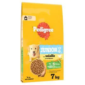 PEDIGREE Croquettes pour chien junior à la volaille et aux légumes 7kg