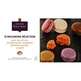 MONOPRIX GOURMET Macarons sélection, cassis, nois de coco, chocolat-noisette, mandarine, framboise-groseille, caramel, pâtisserie fine congelée 157g