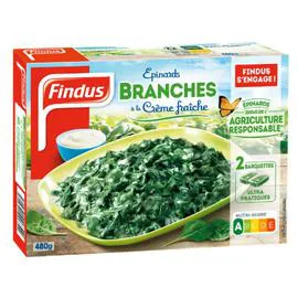 FINDUS Légumes cuisinés épinards branches à la crème 480g