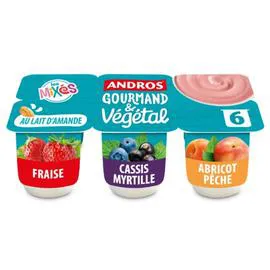 ANDROS Gourmand & Végétal Dessert brassé au lait d'amande aux fruits panaché 6x100g