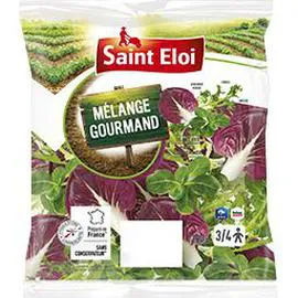 SAINT ELOI Mélange gourmand 200g