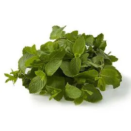 NATOORA Menthe Fraîche 40g