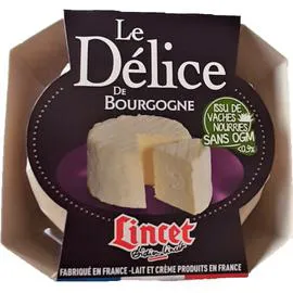 LINCET Fromage Le Délice de Bourgogne 200g