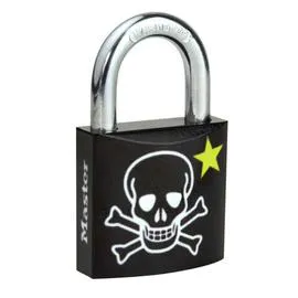 MASTER LOCK Cadenas 30Mm l'unité