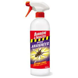 BARINSECTE Anti insectes spécial araignées - prêt à l'emploi 750ml
