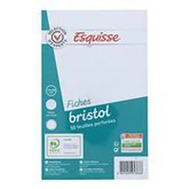 ESQUISSE Fiches bristol 5x5 Perforées - 12,5x20cm - x50 x50